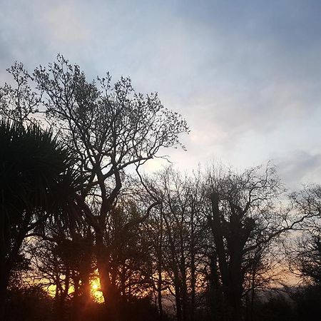 Cosy 2-Bed Property In Ashburton Dartmoor Newton Abbot Eksteriør bilde