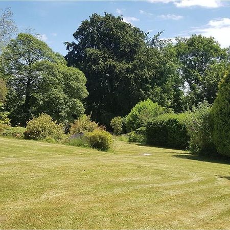 Cosy 2-Bed Property In Ashburton Dartmoor Newton Abbot Eksteriør bilde